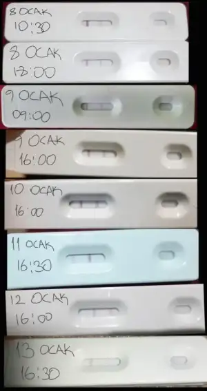 Screenshot_20230113-200909_Samsung Notes.webp