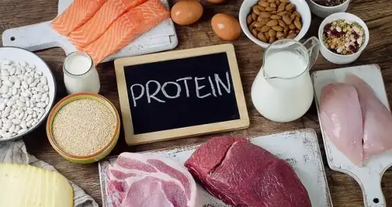 Osteoporoz_Diyeti_Protein.webp