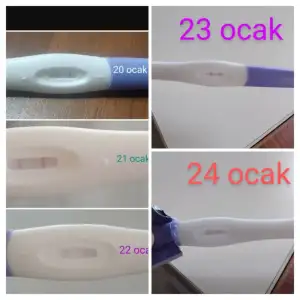 20230124_120344-COLLAGE~2.webp