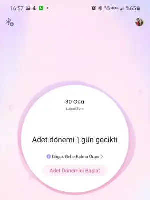 Screenshot_20230130-165714_Femometer.webp