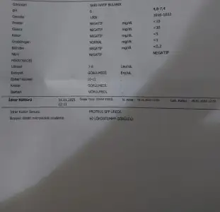 Screenshot_20230201_044343_Gallery.webp