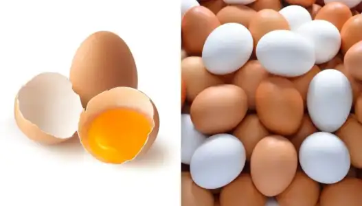 beyaz_yumurta_kahverengi_yumurta_arasinda_farklar.webp