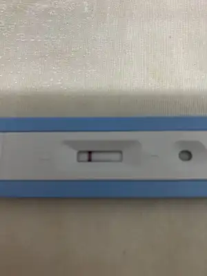 image.webp