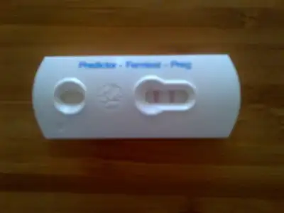 $IMG-20120811-00018.webp