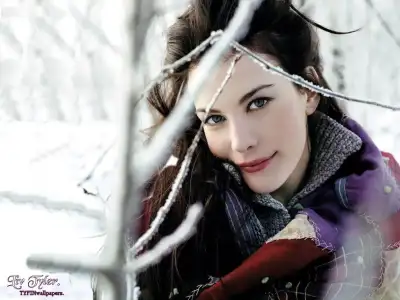 $boardturklivtyler35.webp