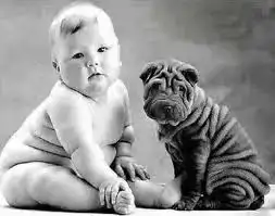 $imagesCA5U3TS6.webp