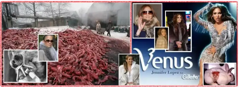 $jennifer - gillette dayan&#305;&#351;mas&#305;.webp