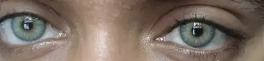 $fxeyes-jazmine-gray-blue-custom-color-contact-lens-1f06.webp $fxeyes-jazmine-gray-blue-custom-color-contact-lens-1f06.webp