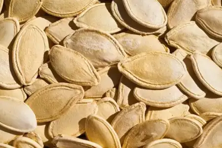 protein_kaynagi_kabak_cekirdegi.webp
