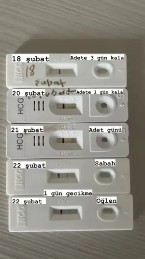B357BE1B-03FE-4CBC-ADCB-4443EBCF1A1E.webp