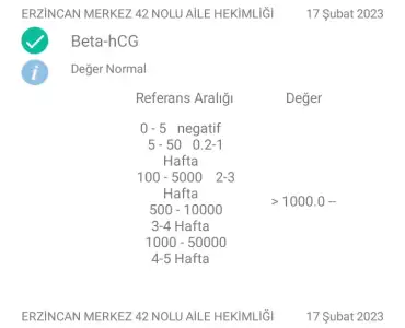 Screenshot_2023-02-18-07-35-19-27_cee269abbfc445f364526a3e93e23047.webp