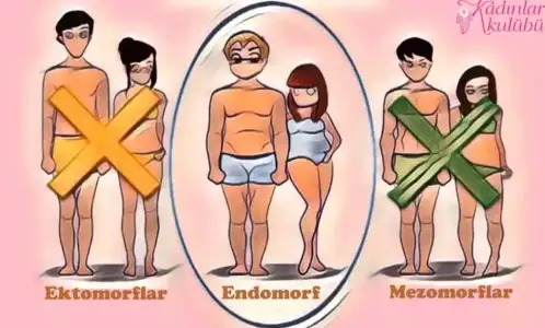 Endomorf Diyeti Nedir? Mezomorflar, Ektomorflar Hakkında Bilmeniz Gereken 3 Şey