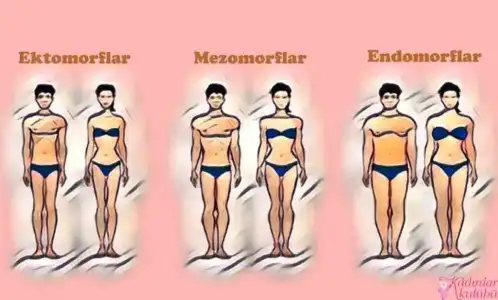 endomorf_vs_endomorf_vs_mezomorf_vucut_tipine_gore_diyet.jpg