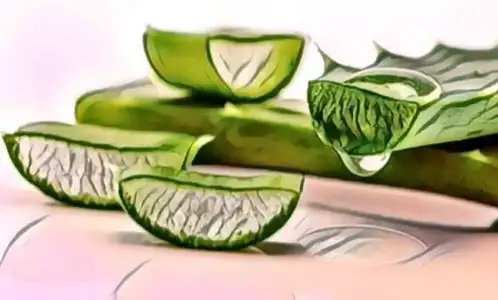 aloe_vera_jeli_akne.webp aloe_vera_jeli_akne.webp
