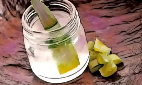 aloe_vera_kremi_gunes_yanigi_cilt_yaniklari.webp aloe_vera_kremi_gunes_yanigi_cilt_yaniklari.webp