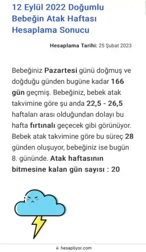 BF7B69B9-C412-46A6-818E-8B603AF67091.webp