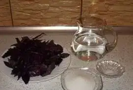reyhan_serbeti_1.webp reyhan_serbeti_1.webp