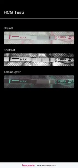 E1445740-C74E-462A-BE7C-F382CD62BC3F.webp