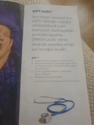 1677762856097709299416112941364.webp