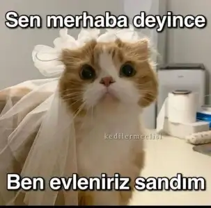 16d1476d7854d9f0bc29b59e796be9fd.webp