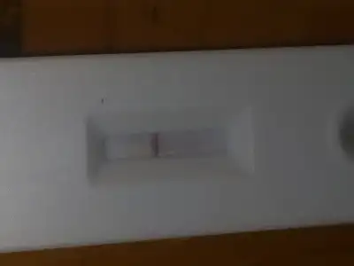 16783819648765751907889740671060.webp