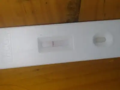 16783822337311029553468549540170.webp
