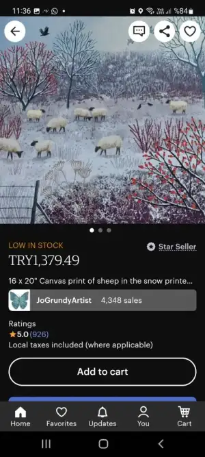 Screenshot_20230316-113654_Etsy.webp