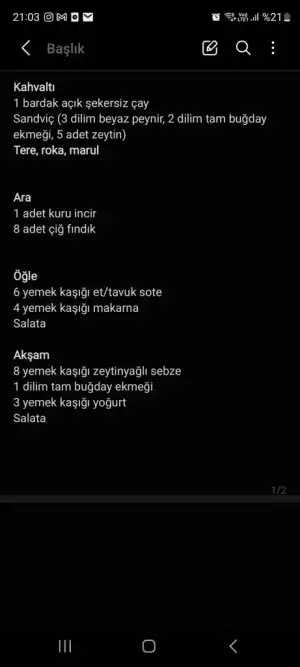 Screenshot_20230316_210309_Samsung Notes.webp