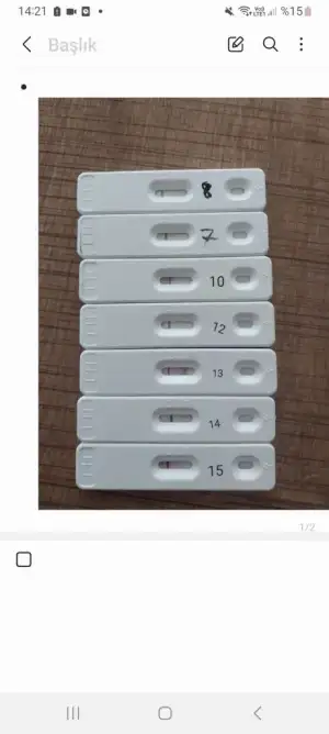 Screenshot_20230315_142128_Samsung Notes.webp