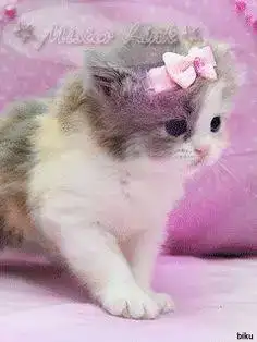 1679124619627.webp