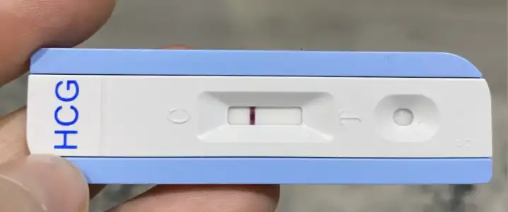 Screen Shot 2023-03-20 at 08.56.12.webp