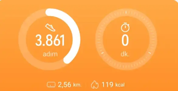 Screenshot_20230319_204225_Huawei Health.webp