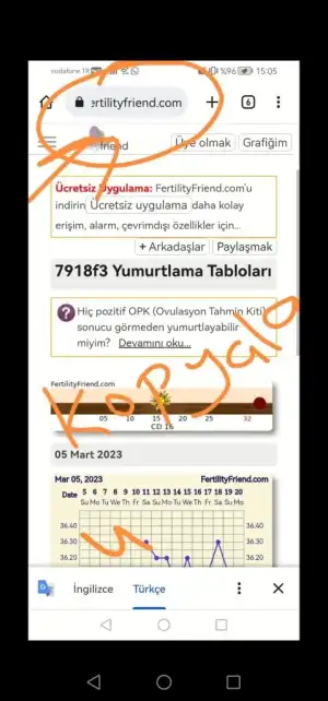 Screenshot_20230320_150959.webp