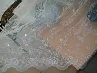 $100_1251.webp