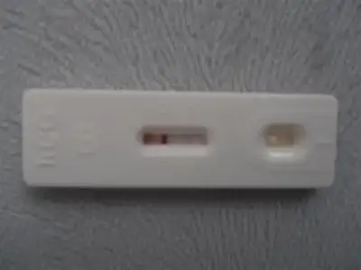 $P8160166 (Orta).webp