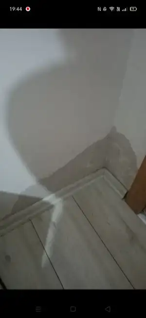 Screenshot_2023-04-03-19-44-35-90.webp