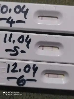 16813421199491858614632349152727.webp