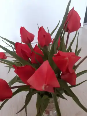 20230423_130141.webp