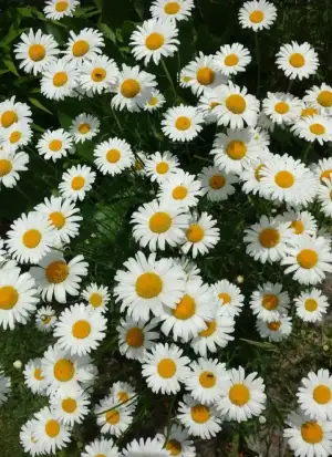 20230426_000508.webp