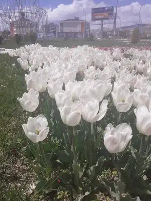 20230428_115347.webp