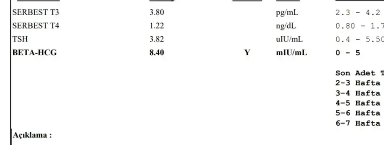Screenshot_20230503_161557.webp