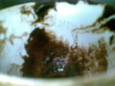$19082012(017).webp
