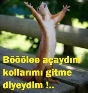 $AzUOiE_CEAEtEJW.webp
