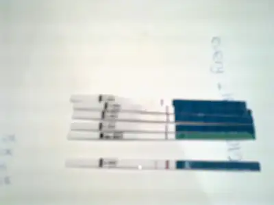 $19082012370.webp