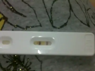 $082020121179.webp
