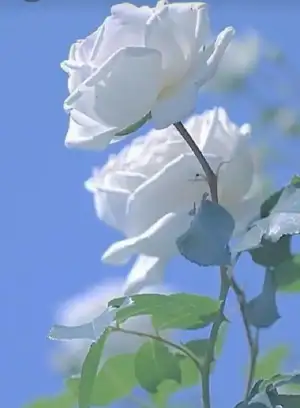 20230514_005843.webp