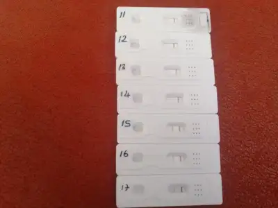 16841601769571767984234582870636.webp