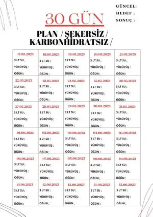 Pink Abstract 30 Days Self Care Challenges Planner.webp