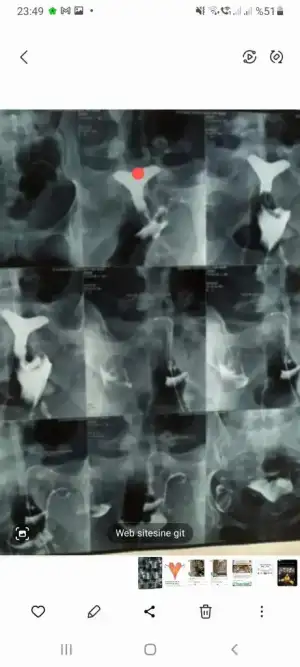 Screenshot_20230524-234911_Gallery~2.webp