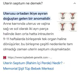 Screenshot_20230525-015049_Google.webp